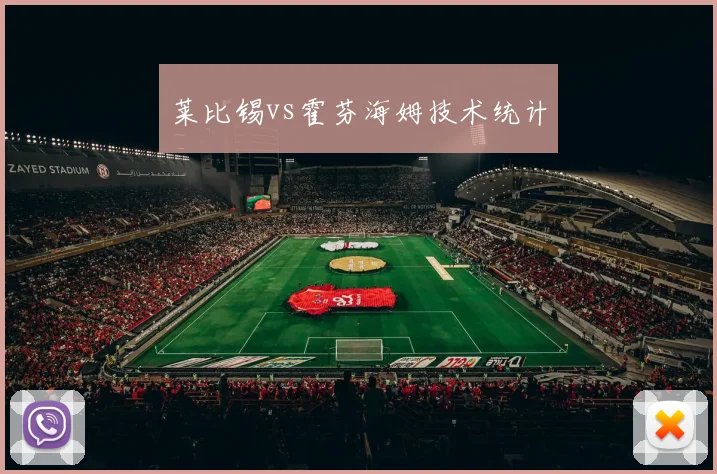 莱比锡vs霍芬海姆技术统计