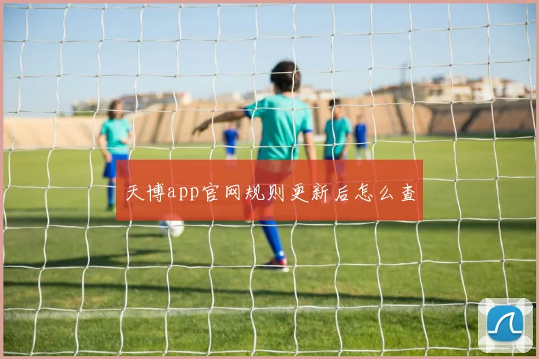 天博app官网规则更新后怎么查