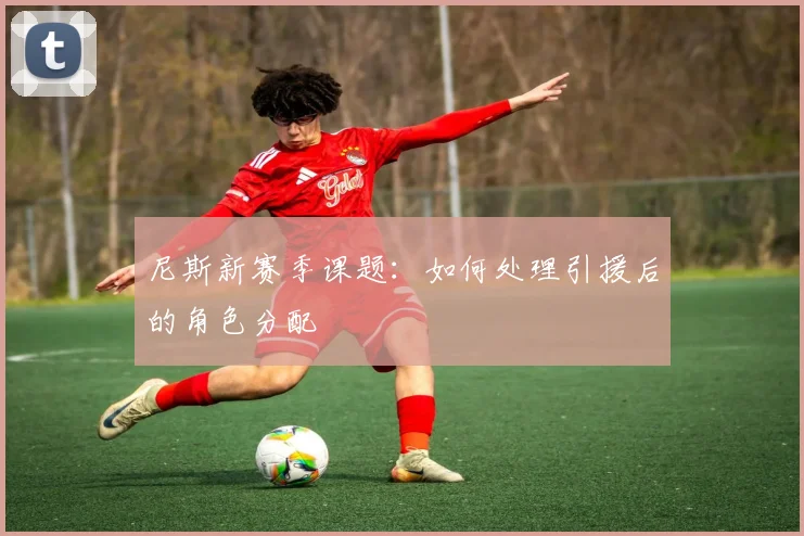 尼斯新赛季课题：如何处理引援后的角色分配